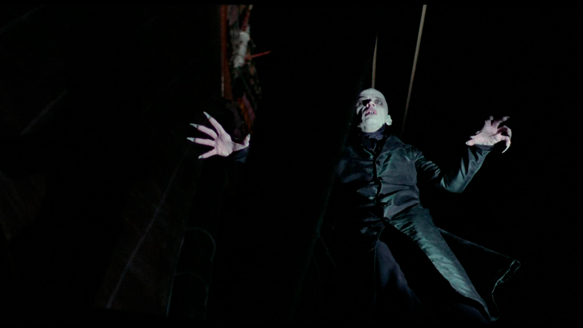 Nosferatu, El Vampiro De La Noche