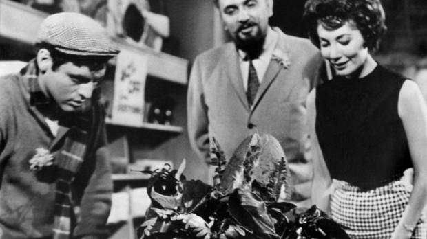 La tienda de los horrores