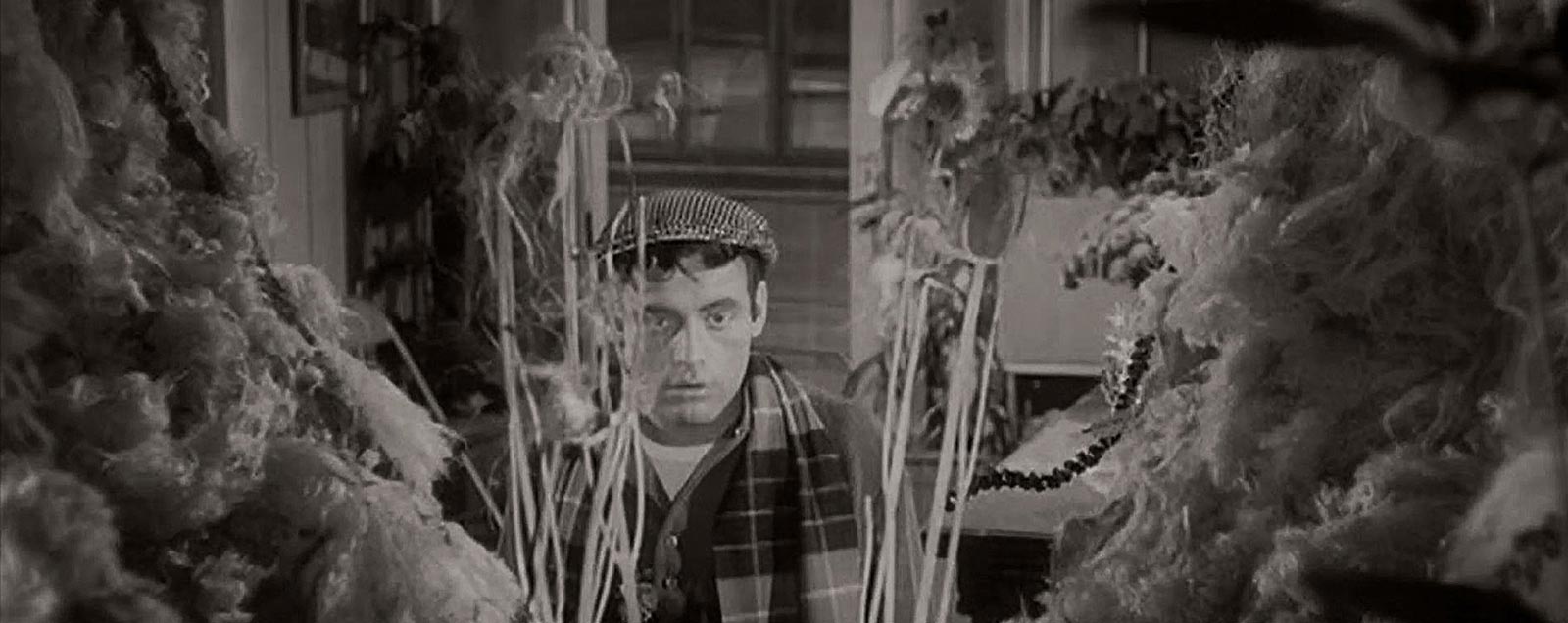 La tienda de los horrores